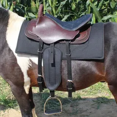 乗馬鞍美品前後肢プロテクター他付属品付❣️ 購入希望の方はお値段