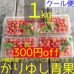 〈現品〉沖縄県産 ピタンガＢ品 約１kg【クール便】①