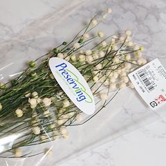 大地農園 リンフラワー 白・グリーン 新品
