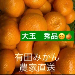 2025年最新】和歌山県 マルチ栽培の人気アイテム - メルカリ