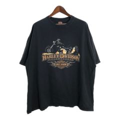 patagonia - patagonia パタゴニア Windproof Darya コート