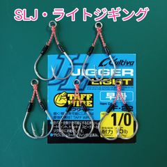 ジガーライト早掛1/0  アシストフック ツイン