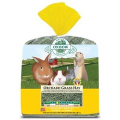 Item thumbnail for item 3745a760-520e-4ad1-ab00-98352323181c