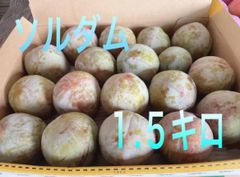 山梨県産　スモモ(ソルダム) コンパクトボックス１.５キロ