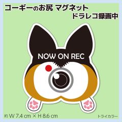 コーギーのお尻マグネット トライ ドラレコ録画中アピール オリジナルデザイン
