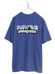 2024年最新】patagonia usa製 tシャツの人気アイテム - メルカリ