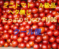 ミニトマト　A級品　ヘタ無し　たっぷり３ＫＧ＋100g