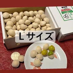 名産地愛知県稲沢市祖父江銀杏　1Lサイズ　300gのサムネイル