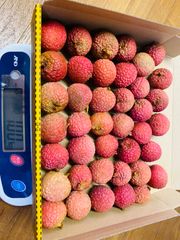 ベトナム生ライチ・Fresh Lychee・Vai thieu 1kg