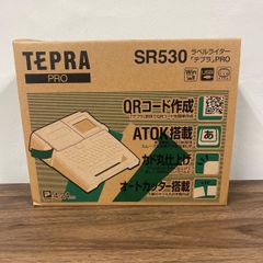 SEIKO DP666T パタパタ時計 動作チェックOK 年式の割にキレイ SEIKO パタパタクロック DP666T 昭和40年代後半〜50年代前半 難
