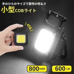 COBライト ライト カラビナ LED 投光器 懐中電灯 作業灯 ミニライト USB充電式 ハンディライト IPX4防水 小型 軽量 高輝度 4種点灯モード 強力磁石付き キーホルダー 45g キャンプ 夜道 アウトドア 防災ライト スタンド 明るい 釣り