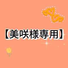 【美咲様専用】