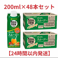 【期間限定価格！】【まとめ売り伊藤園】1日分の野菜 ザクザクスムージー トマト＆キャロット 200ml×48本 キャップ付き紙パック　野菜ジュース　ドリンク　健康ドリンク　飲料