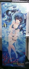 【開封品】ノワール 特大タペストリー 「PS4 勇者ネプテューヌ 世界よ宇宙よ刮目せよ!! アルティメットRPG宣言!!」WonderGOO特典【汚れ有】