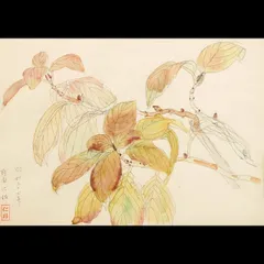 野間 仁根 　マリオネットの散歩　豪華大判画集画、新品額付、コンディション良好 野間 仁根 マリオネットの散歩 豪華大判画集画、新品額付