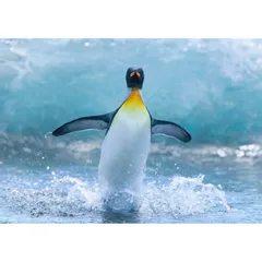 2025年最新】ステンドグラス+ペンギンの人気アイテム - メルカリ
