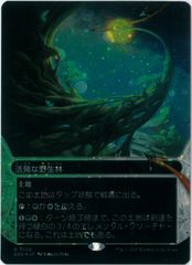 ギャラクシーFOIL/MTG/日本語版/湿った墓/Watery Grave/ボーダー