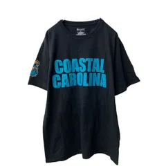 Champion 半袖 プリントTシャツ L ブラック チャンピオン 袖プリント 古着卸 アメリカ仕入 a706-5903