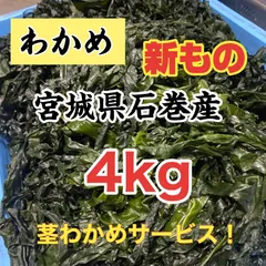 塩蔵わかめ　宮城県石巻産　新もの！のサムネイル