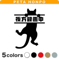 カッティングステッカー 後方録画中 ぶら下がる猫 ドラレコ かわいい 車 ドライブレコーダー ぺた本舗