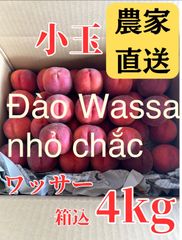 爆盛10kg】信州早生ワッサー 桃 家庭用 クール便 - メルカリ