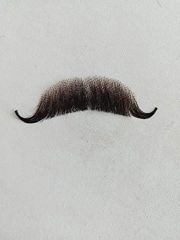 Item thumbnail for item eb3eb91e-b770-4d8d-8aea-52bd76934b62