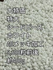 特大　シードビーズ　ガラスビーズ　ABメッキ加工　ホワイト約400g