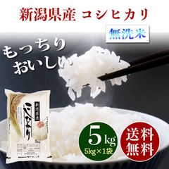 新潟県産 コシヒカリ 無洗米 5kg お米 5キロ 新米