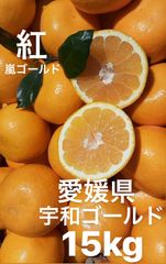 愛媛県産　宇和ゴールド紅　嵐ゴールド　河内晩柑　柑橘　15kg