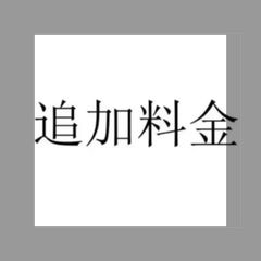 追加料金