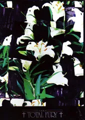 CD Total Fury 13 Songs DANDOH40 Dan-Doh Records 紙ジャケ /00110