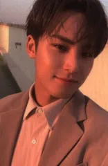 SEVENTEEN 21年IN-COMPLETE MINGYU トレーディングカード セルカ