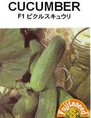 ＜野菜の種＞Ｆ１ピクルスきゅうり　たね　１５粒　ミニキュウリ　胡瓜