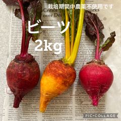 ビーツ▪️2kg▪️大小混▪️赤/ゴールド/渦巻き/栽培期間中農薬不使用