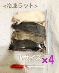 2025年最新】冷凍ラットの人気アイテム - メルカリ