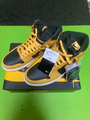 NIKE AIR JORDAN 1 "POLLEN"ナイキエアジョーダン1パラン