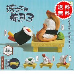 【新品未開封】活きてま寿司3 全5種コンプリート（いか、あまえび、はまち、あなご、まぐたく）カプセル入り未開封 ガチャガチャ がちゃがちゃ カプセルトイ