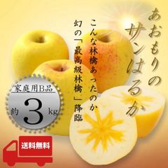 青森県産 ＂ サンはるか ＂ りんご【ご家庭用B品3kg】【送料無料】【産地直送】リンゴ 林檎