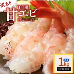 【訳あり】宮崎の甘エビ　アカスエビ（甘エビ）1kg｜産地直送・刺身OK・バラ凍結・希少・ヒゲナガエビ