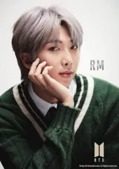 【新品】パズル MAP OF THE SOUL：7-RM- 「BTS(防弾少年団) MAP OF THE SOUL：7」 ジグソーパズル 108ピース [41-301]