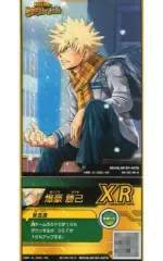 2025年最新】激突ヒーローズバトルRの人気アイテム - メルカリ