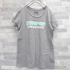 patagonia オーガニックコットンTシャツ 06158
