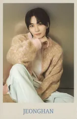 SEVENTEEN JEONGHAN 2024 CARAT LAND インスタントフォトカード ベージュ