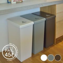 ゴミ箱 ごみ箱 おしゃれ ダストボックス スライド 清潔 ふた付き ゴミ分別 コンパクト 日本製 ペールカラー 新生活 スライドペール 45L