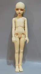 CUSTOM HOUSE Junior Ai