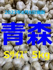 青森県産にんにく５ｋｇ Ｓサイズ ニンニク５キロ 福地ホワイト６片種