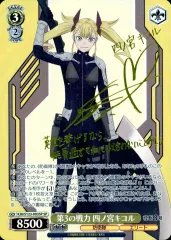 レイクちゃん ファイルーズあい 高野麻里佳 など 直筆 サイン 色紙 レイクちゃん ファイルーズあい 高野麻里佳 など 直筆 サイン