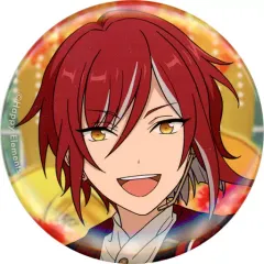 逆先夏目 フィーチャー1 idol 缶バッジ あんスタ 逆先夏目 缶バッジ 114個 - メルカリ