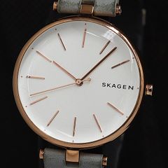 新品未使用】スカーゲン 限定モデル ホリゾント 天然ダイヤユニ 