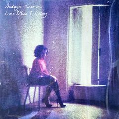 新品未開封Sealed‼️送料込‼️Andreya Triana / Lost Where I Belong - Remix by Flying Lotus & Mr. Scruff！